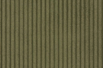 Housse Fauteuil convertible - Tissu velours côtelé vert
